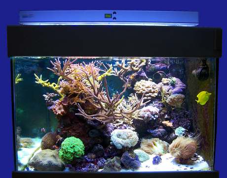 Rampe LED r�cifal