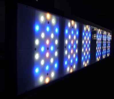 aquarium eclairage LED SPS LPS